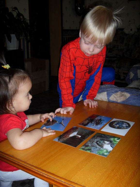 Наш отчет : ТН