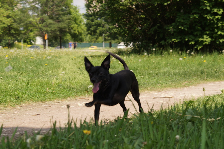 7 мес и 8 дней