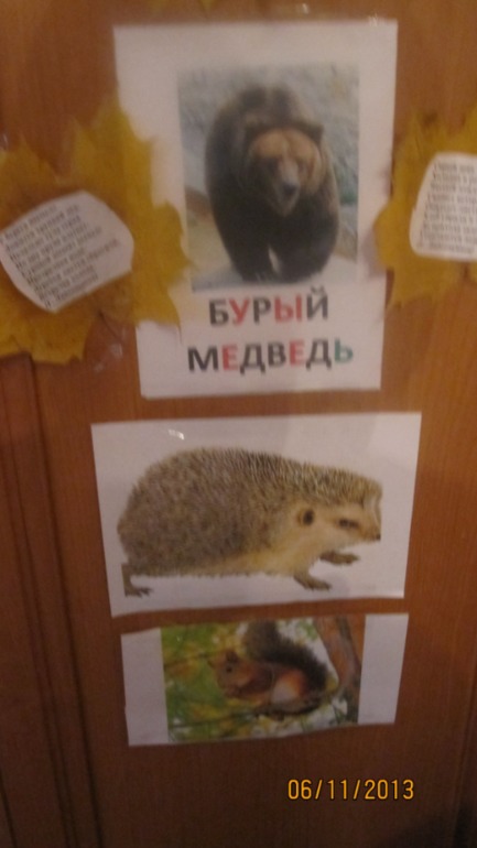 ТН