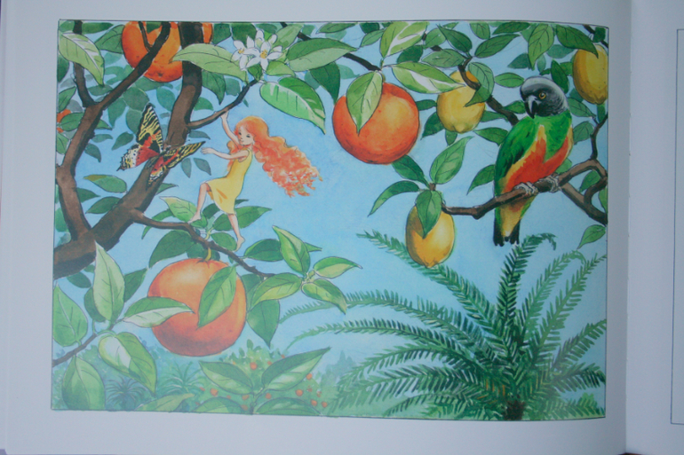 Любимые книжки - 4,5 года (и немного 3)