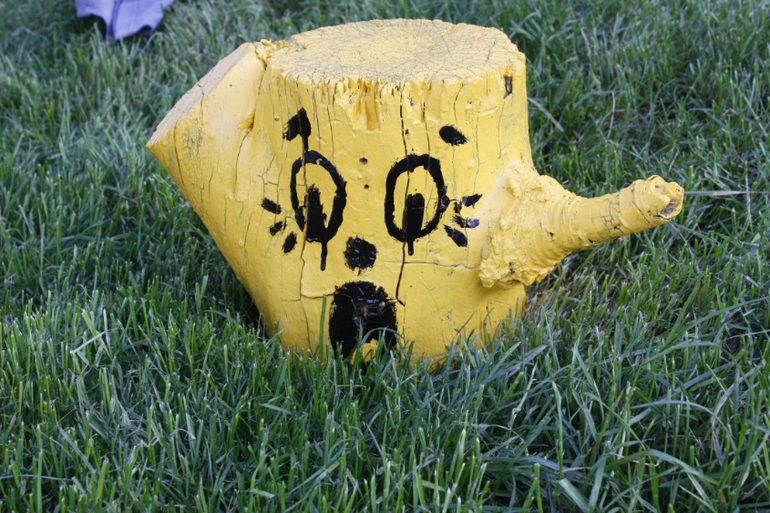 Нам 2года 9 месяцев или наше лето