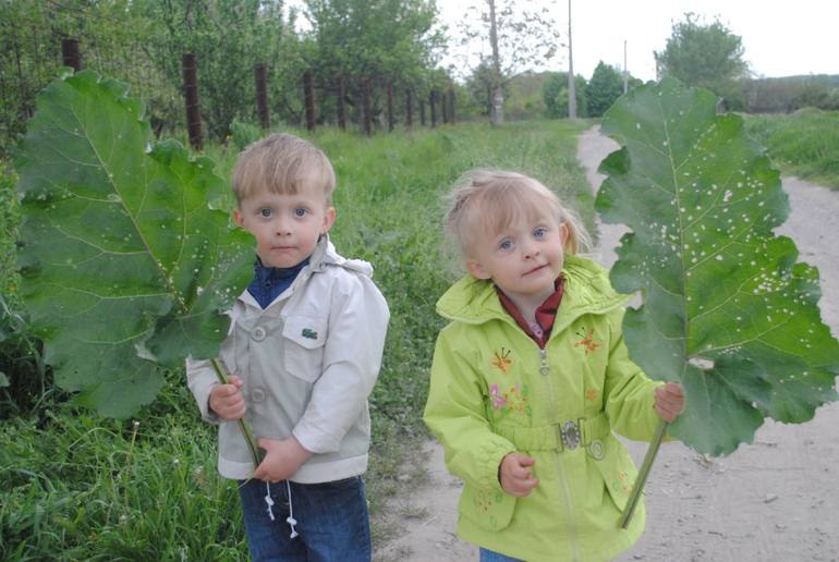 Нам 2года 9 месяцев или наше лето