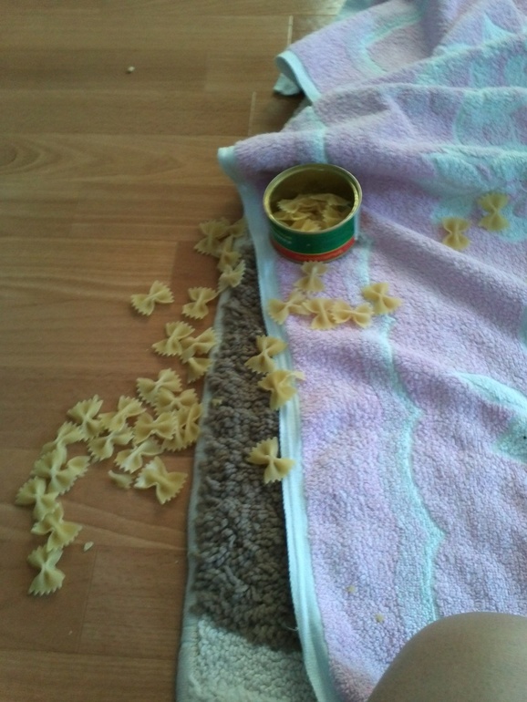 Активное утро))))