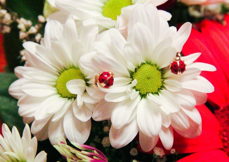 Как мы отмечали 1 годик=)))Вечеринка в стиле Божьих коровок