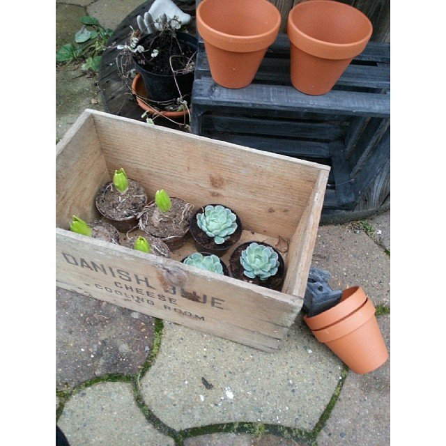 Вопрос про ящик)