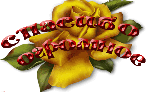 03905c95ca0037de26d3a0e669dc645b.gif