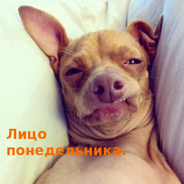 так вот оно какое...