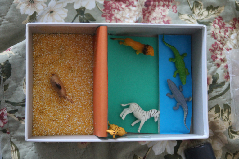 Ферма и Африка на скорую руку