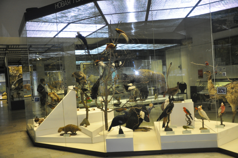 Дарвиновский музей