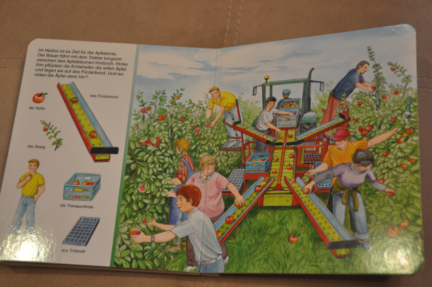 Наши книжки для рассматривания