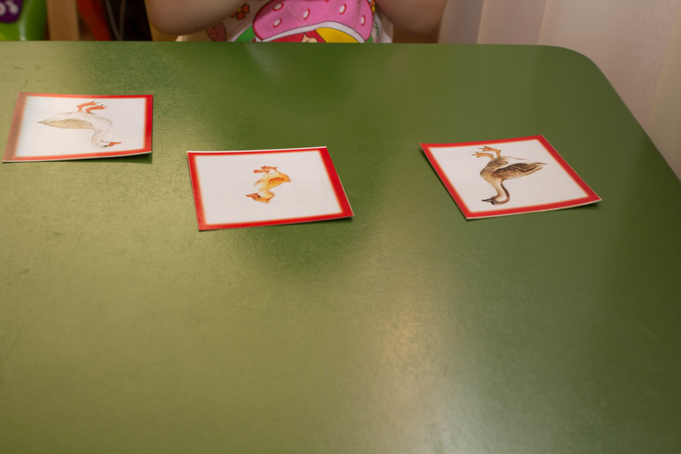 ТЗ "Утка, Гусь". Отчет