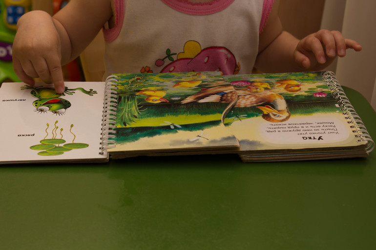 ТЗ "Утка, Гусь". Отчет