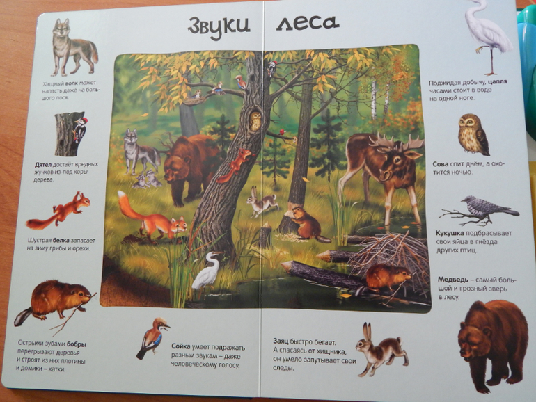 Книжный хваст №... (летнее пришло)