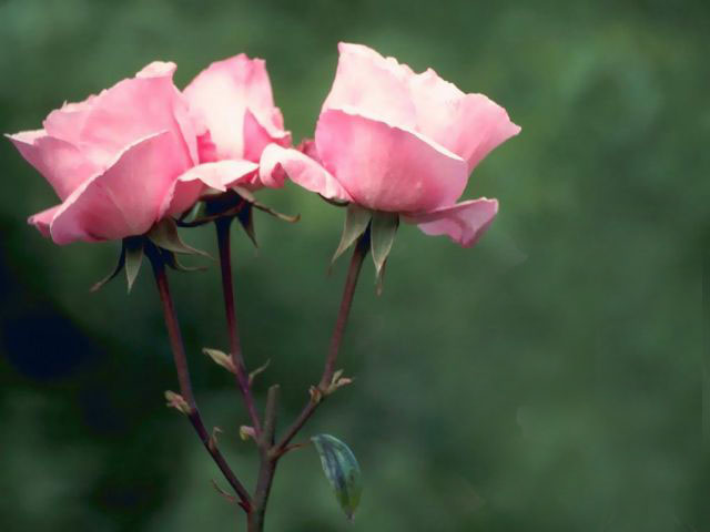 Контрольное задание №13