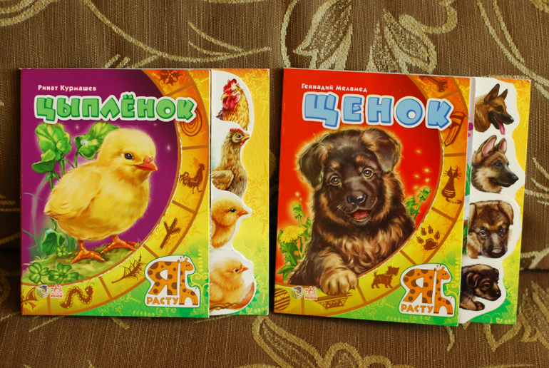 Очередные покупки