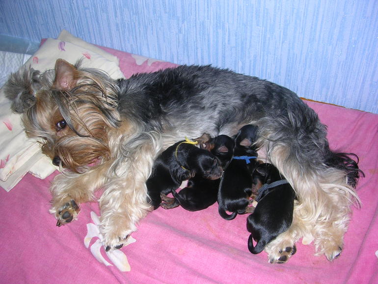 Кася стала мамой)))