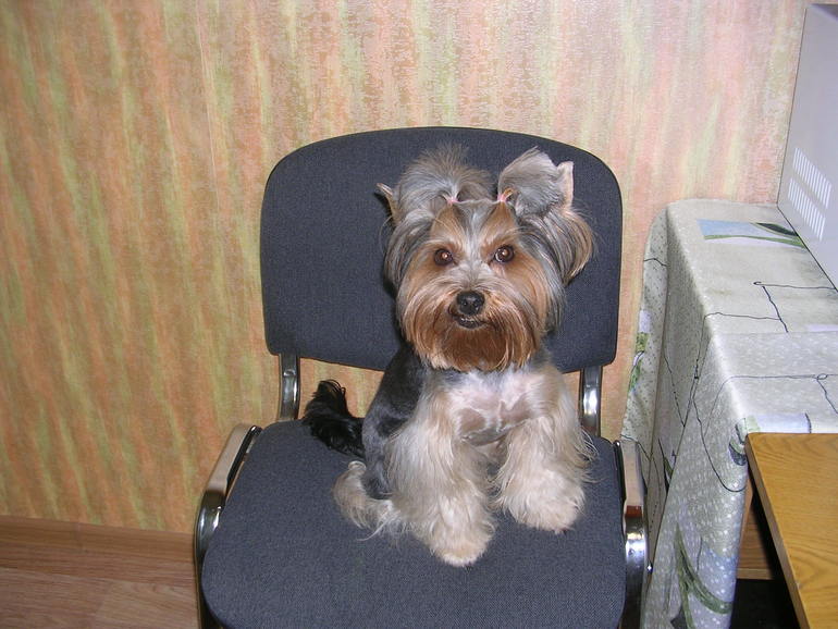 Моя радость!