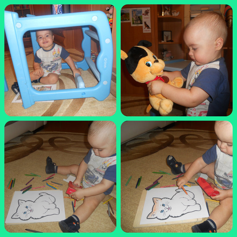 Домашние животные - кошечка и собачка...