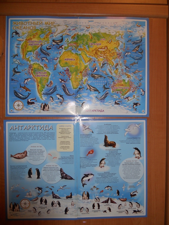 Увезла тебя я в тундру на оленях утром ранним....