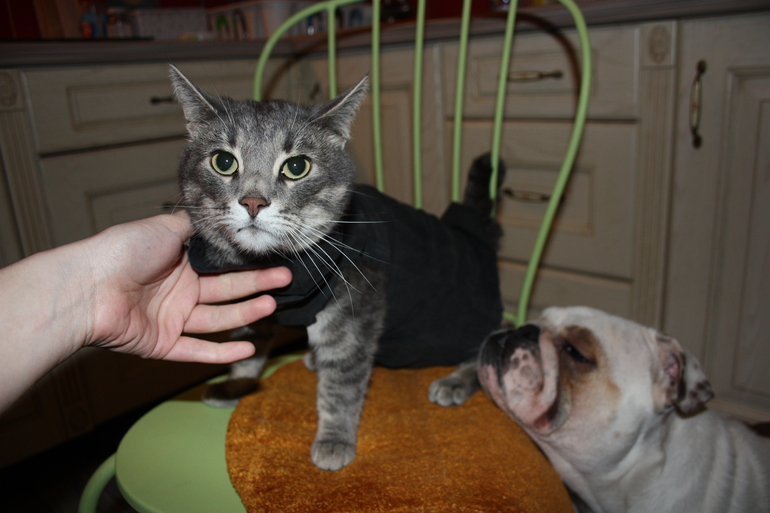 есть еще у меня один сын,