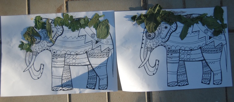 Веселые путешествия по странам мира!