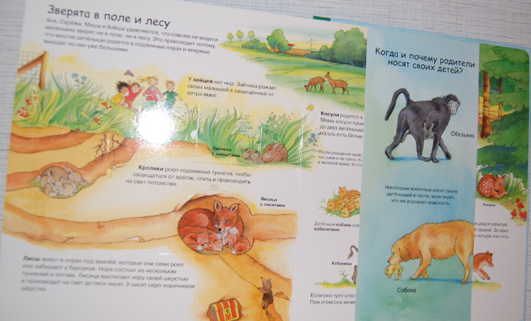 Энциклопедии для детей