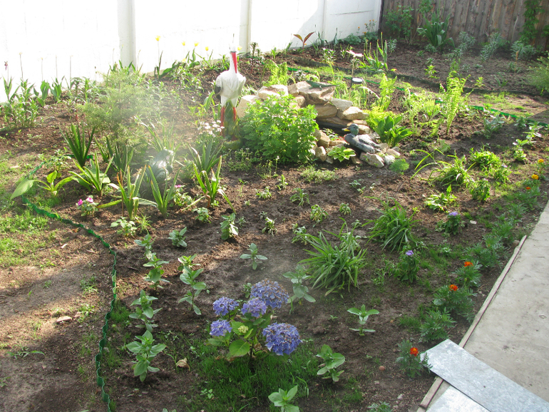 Как я рад, как я рад......