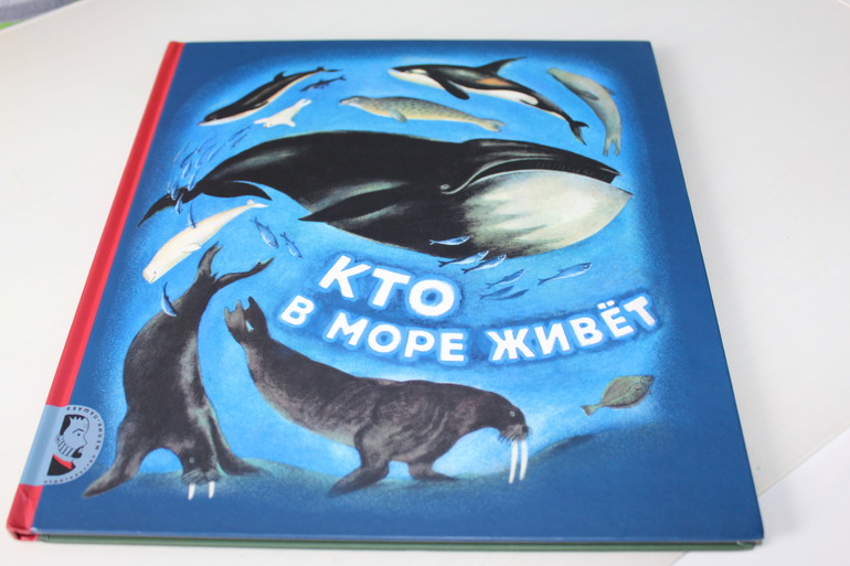 Вот и пошли мы по дороге с музыкой.