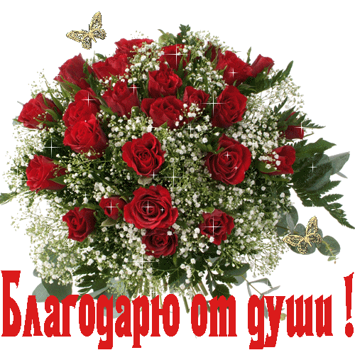 26dbd5e2fe59b1cc4322111eede909c2.png