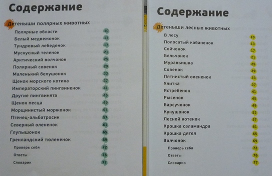 Июньское прочитанное!