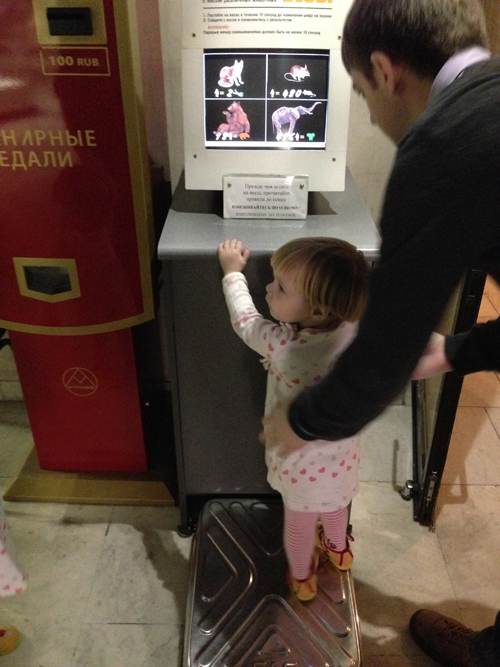 Поездка в дарвиновский музей (фото-отчет)