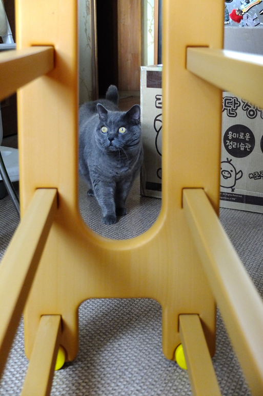 Игрушки и порядок в доме. Мечта или реальность?