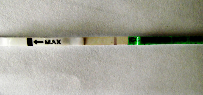 окончательно запуталась)