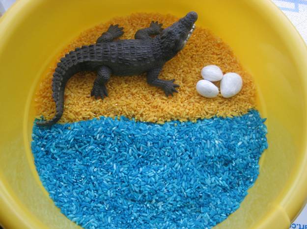 ТД Крокодил