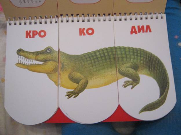 ТД Крокодил