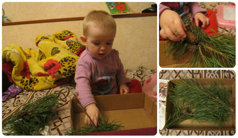 d01d74a4cf2b5394854a0c4bf5a8ae52.jpg
