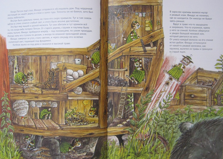 Про Петсона и Финдуса