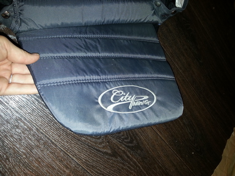 Мой Baby Jogger City Mini GT Plus