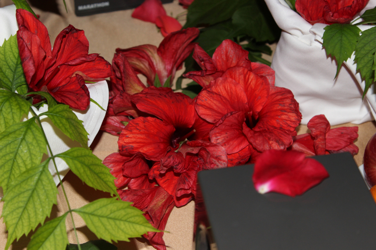 Отдых в Турция Cesars Resort Kumköy-Side