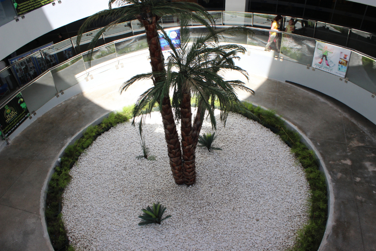 Океанариум в Анталии, водопад Куршунлу и озеро Нилуфер