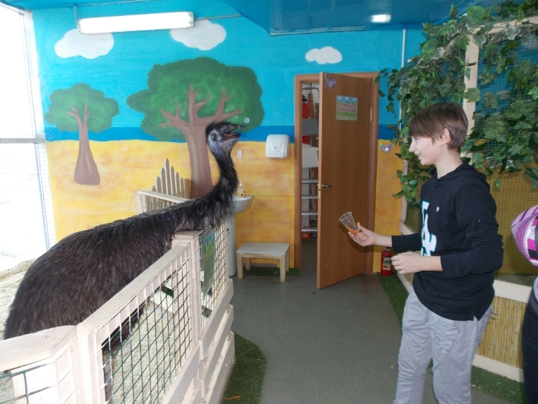 Трогательный зоопарк!