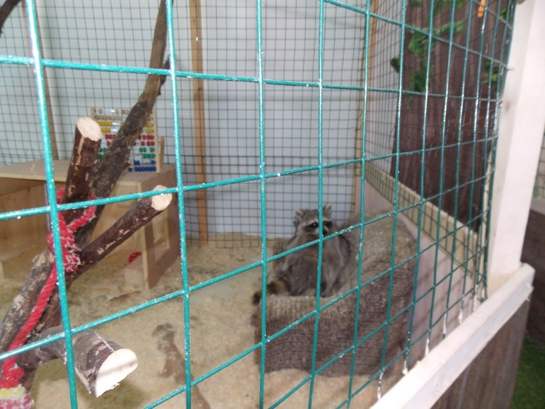 Трогательный зоопарк!