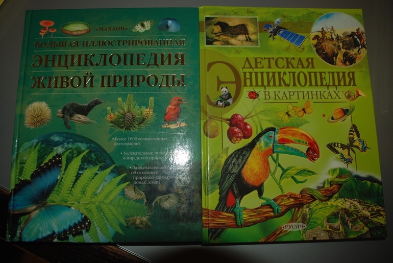 d95629489df0e02c2fdbe55056a23f78.jpg