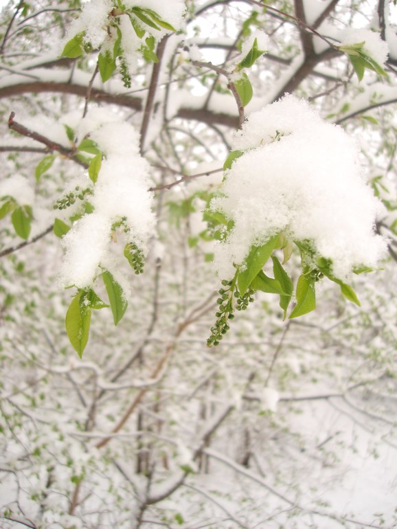 Вот такая прогулка:)