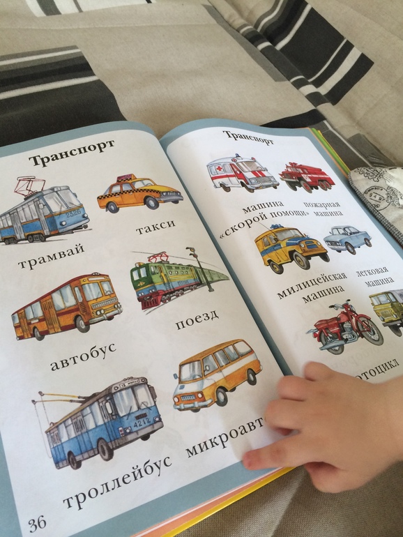 ТН Трансорт. Поезд.