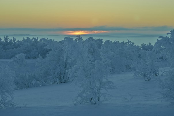 Заполярье (фото моих земляков)