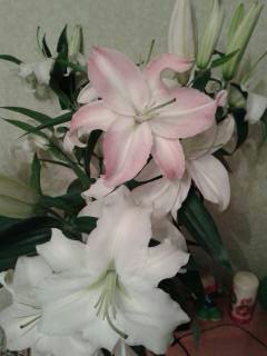 Любимый прздник мужчин - 9 марта :0)