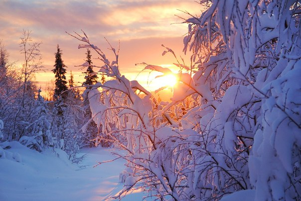 Заполярье (фото моих земляков)