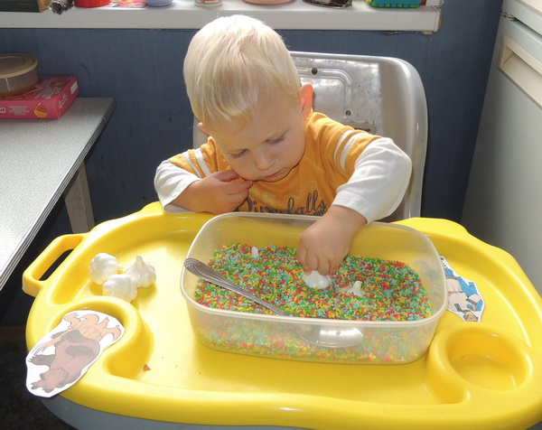 ТН 20 Как растут овощи. 1г 9 мес.