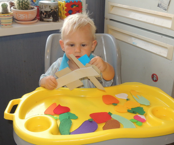 ТН 20 Как растут овощи. 1г 9 мес.